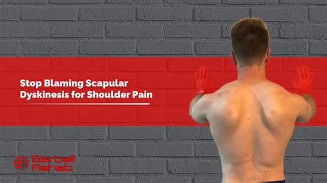 Stop Blaming Scapular Dyskinesis For Shoulder Pain Barbell Rehab