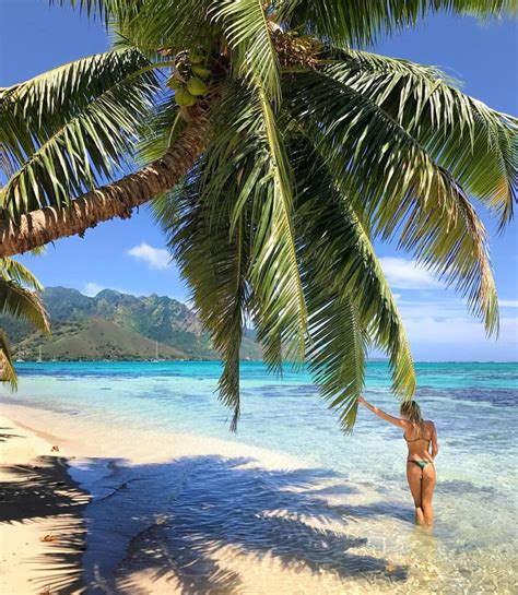 Moorea - Tahiti: A Tropical Paradise