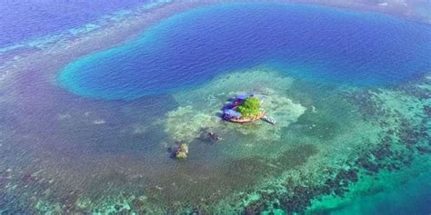 Bird Island Rental on Airbnb - Rent a Private Island in Belize