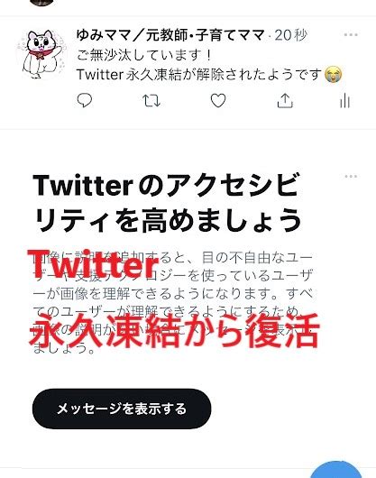 X（旧twitter） 永久凍結解除 29日目に身に覚えのない凍結から復活【凍結祭り】 マヨ決めgo！ゆみママblog