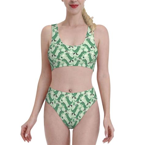 High Waisted Bikini Sets For Women Dinosaurs On Roller Skater 2 Piece