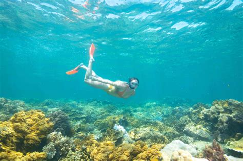 Cairns Great Barrier Reef Tours Non Swimmers Families Pontoon