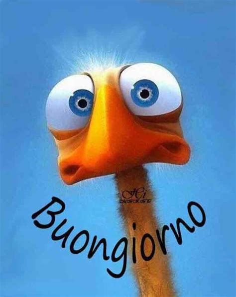 Buongiorno Immagini Xa Belleimmagini Org