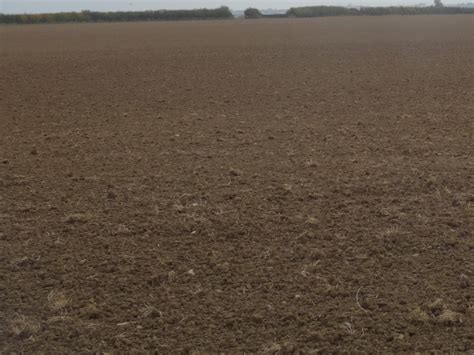 Reduced Tillage Trials Aim To Improve Soil Sustainability Agricology