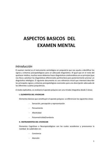 Aspectos B Sicos Del Examen Mental Aura Ester Per Z Rada Udocz