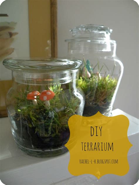 rachelfound: DIY Terrarium