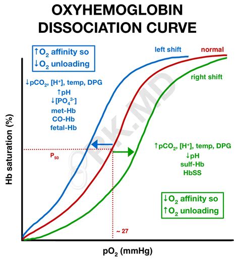 Oxyhemoglobin Dissociation Curve | RK.MD