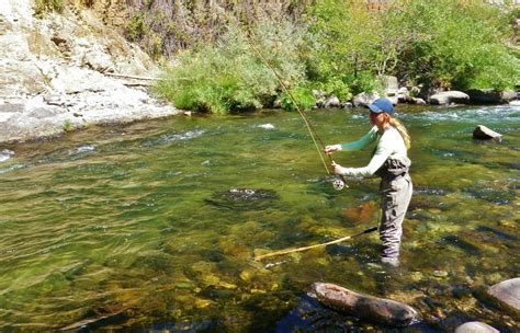 Best River Fishing In Southern California - Unique Fish Photo