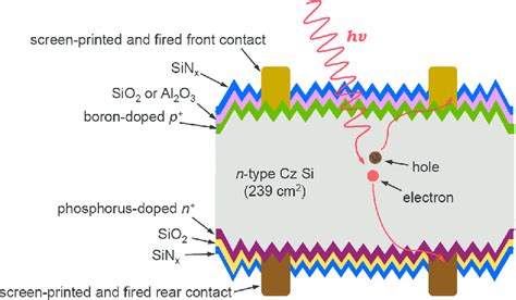 Schematic Structure Of A Screen‐printed Front Junction N‐type Silicon