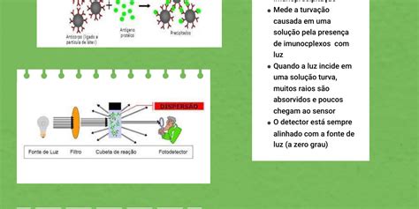 Imunoturbidimetria O Que Significa - Imunoturbidimetria - Infogram