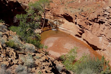 Sulphur Creek Capitol Reef National Park Ut Live And Let Hike