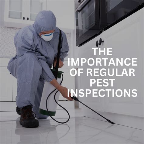 How Often Should You Get A Pest Inspection Frp Termite And Pest