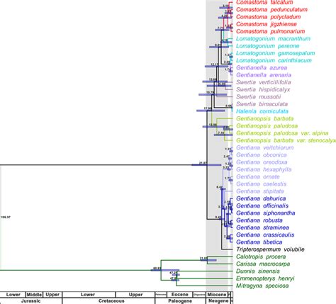 Molecular Dating Based On The Complete Chloroplast Genome Sequence “p” Download Scientific