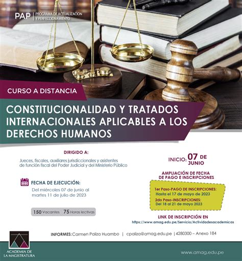 Curso Constitucionalidad Y Tratados Internacionales Aplicables A Los