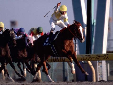 メイセイオペラのフェブラリーs制覇からきょうで25年 史上唯一の「地方から中央を制した馬」 競馬ニュース Netkeiba