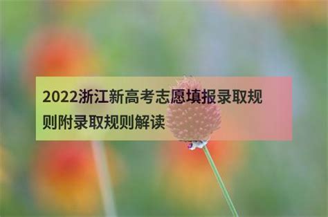 2022浙江新高考志愿填报录取规则附录取规则解读 职教网