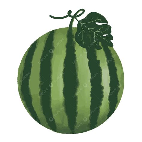 Watermelon Vector Watermelon Palestine Fruit Png And Vector With