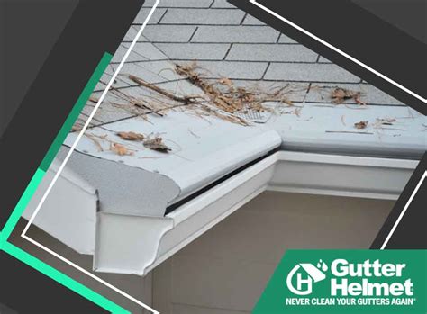 Importance of Proper Gutter Cover Installation | Gutter Helmet