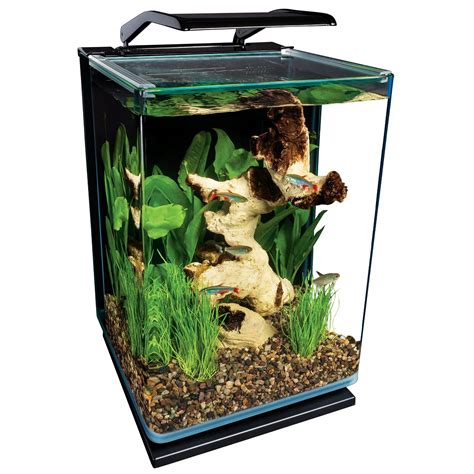 Best Aquarium Starter Kit Aquarium Starter Kits