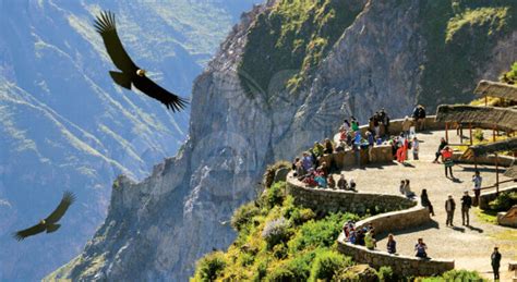 El Ca N Del Colca En Arequipa