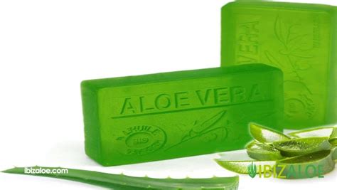 Faire du savon maison à l aloe vera Guide complet Ibizaloe