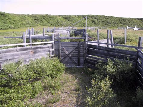 Bering Land Bridge National Preserve | National Park Foundation