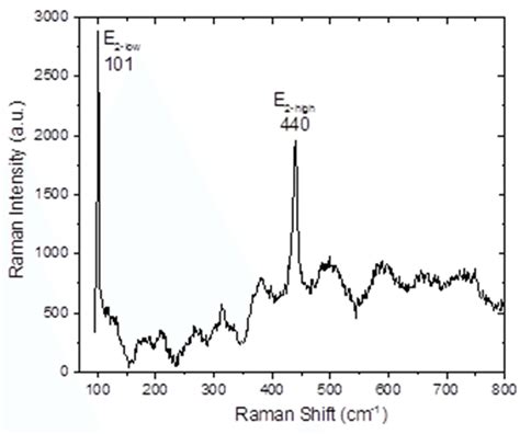 Raman Spectrum Of The Zno Nanostructures Grown On The Anodized Aluminum