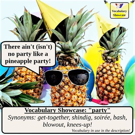 Synonyms For Party Vocabulary Showcase Wright English