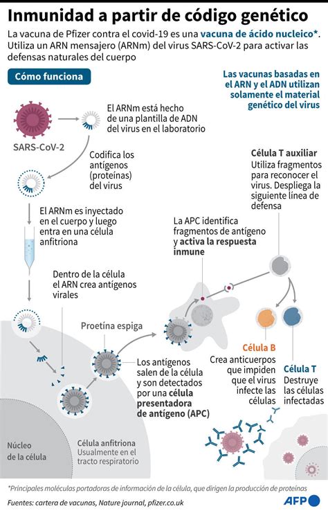 Para cuándo una vacuna antigripal con ARN mensajero RFI