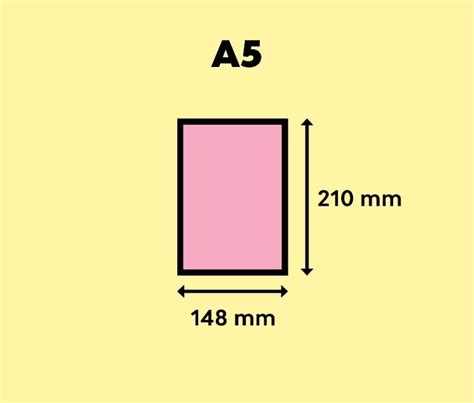 The Ultimate Guide to Flyer Sizes | EdrawMax