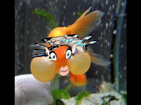 Glub Glub Rgrimdank