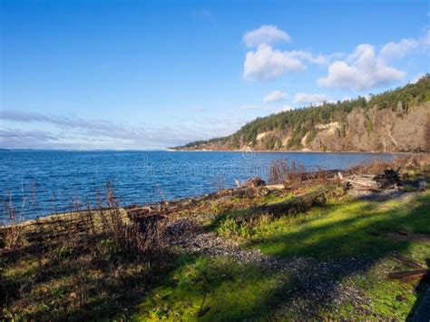 Cama Beach State Park Stock Image Image Of Beach Destination 206823463