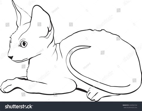 Vector Sketch Illustration Cat Cornish Rex Stock Vector Royalty Free