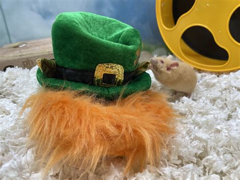 Fairfax County Government