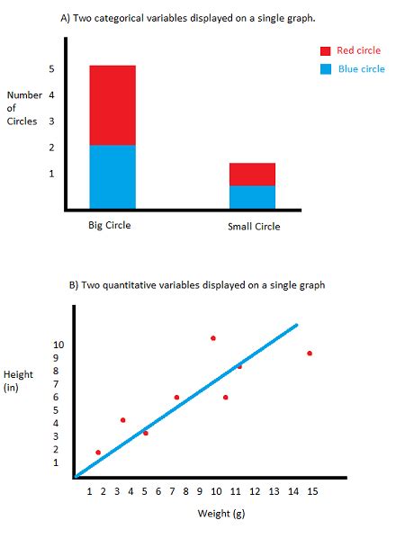 Qualitative Vs Quantitative Research Overview And Differences Lesson