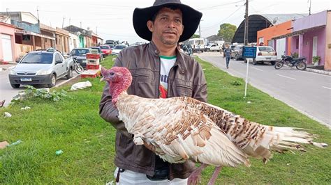 Parte Vanio Da Feira Das Galinhas Mas Uma Vez Na Feira De Capoeiras