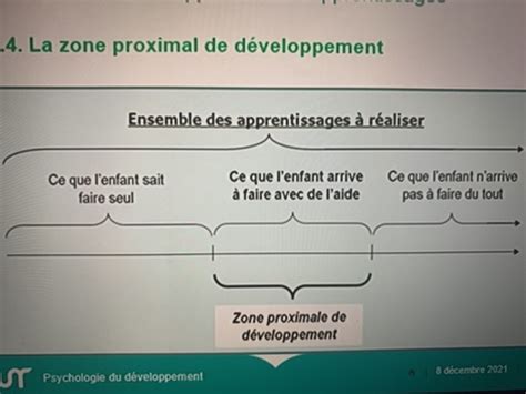 Psychologie Du D Veloppement Cartes Quizlet