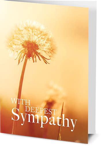 Sympathy Cards