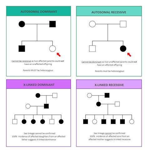 Autosomal Recessive Pedigree Chart