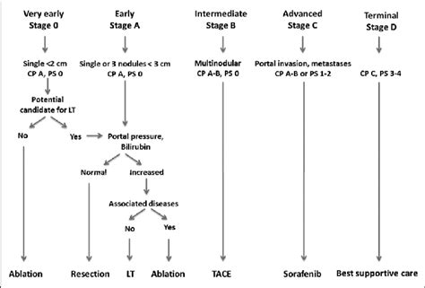 Barcelona Clinic Liver Cancer Stages And Allocation Of Treatment Cp