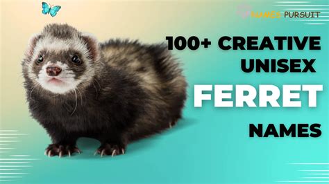 100+ Creative Unisex Ferret Names