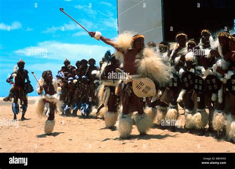 Zulu Dancers Perform As Part Of The St Lucia Wetlands Festival Stock