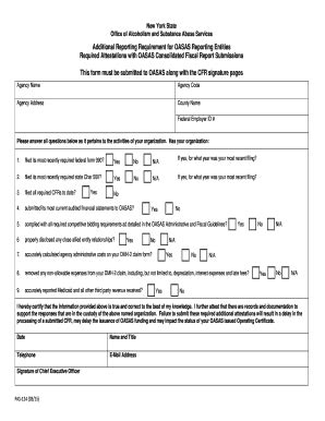 Fillable Online Oasas Ny Additional Reporting Requirements For Oasas