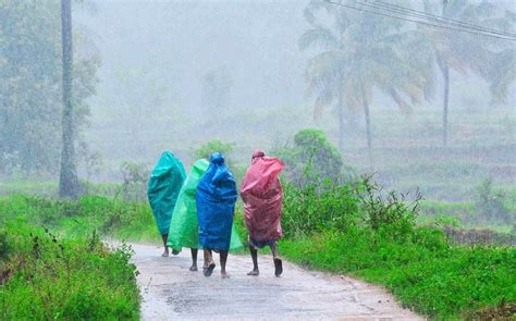 Heavy Rains Batter Kerala Red Alert In Wayanad Orange Alert In 8