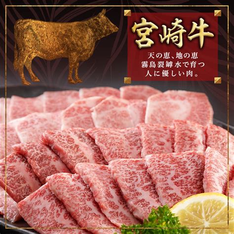 宮崎牛カルビ焼肉400gmj I901都城市 宮崎県産 宮崎牛 カルビ 焼肉 真空 スキンパック 400g 贈答用 宮崎県都城市