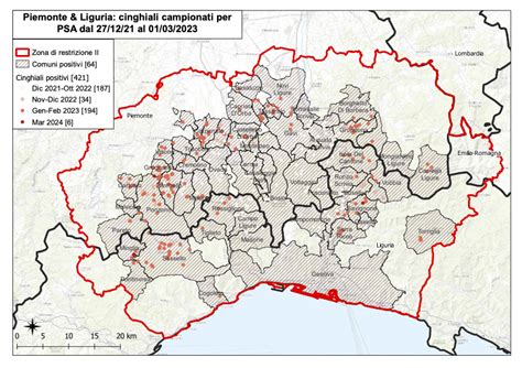 Peste Suina Sei Nuovi Casi Tra Piemonte E Liguria Le Positivit