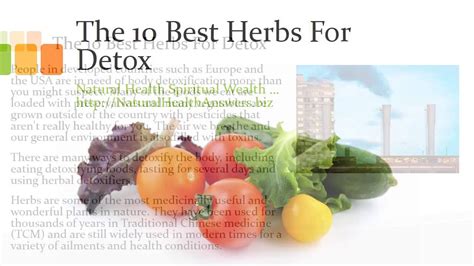 The 10 Best Herbs For Detox Youtube