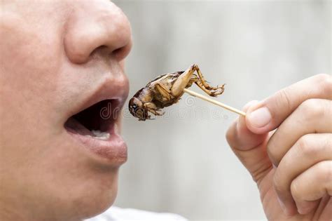 Abertura Feliz Del Hombre Su Boca Que Come El Insecto De Los Grillos En