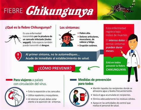 C I H P Como Prevenir La Fiebre Chikungunya