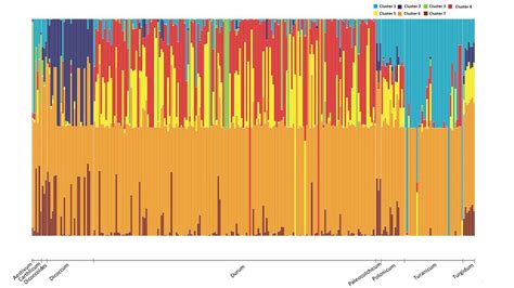 Diversity In Admixture Analysis By Structure Among The Tetraploid